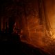 Vlammen slaan om zich heen in Californië: meer dan 175.000 mensen moeten vluchten