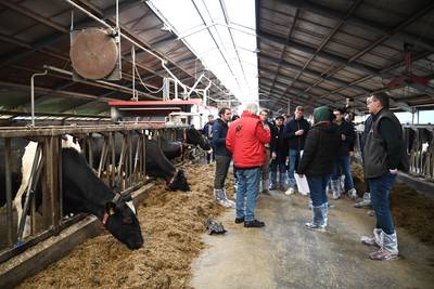 Veertig jonge Europese boeren kijken in de keuken van melkveehouderij in Molenschot: ‘Dit is inspire