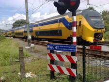 Voorwerp in de bovenleiding: minder treinen tussen Breda en Den Bosch
