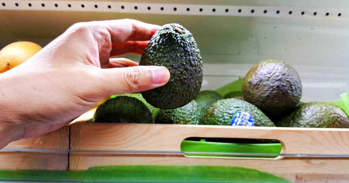 morgen steekpenningen echo Zo kies je altijd de perfecte avocado in de supermarkt | Koken & Eten |  AD.nl