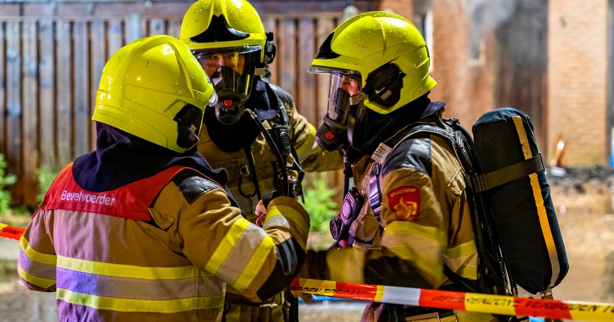 Katten omgekomen bij fikse woningbrand aan de Eksterstraat - AD