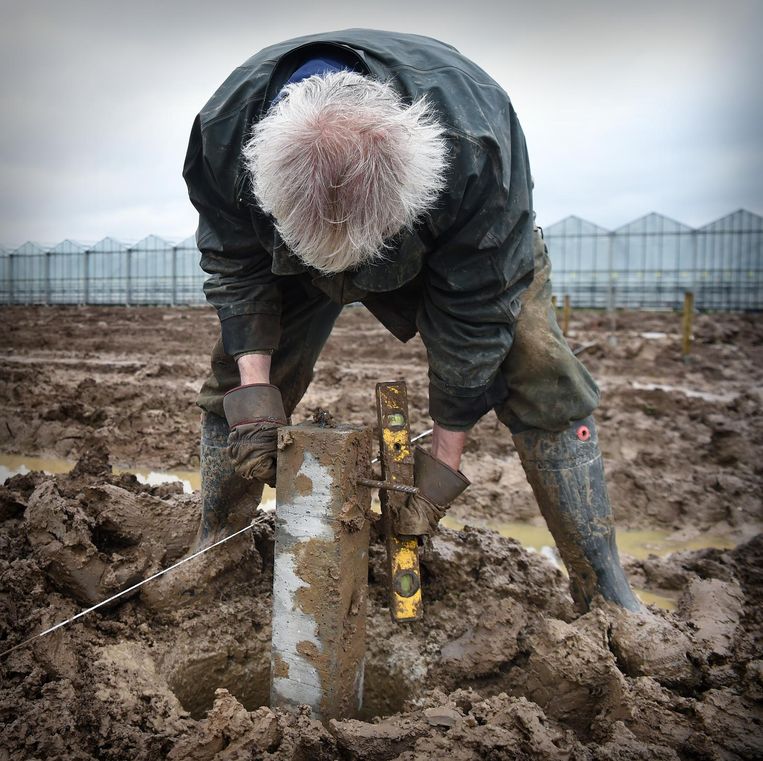 Een oudere werknemer in de kassenbouw bij Bemmel. 
 Beeld Marcel van den Bergh / de Volkskrant