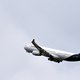 Geplaagde luchtvaartmaatschappij Brussels Airlines wil uitbreiden met meer vliegtuigen en meer personeel