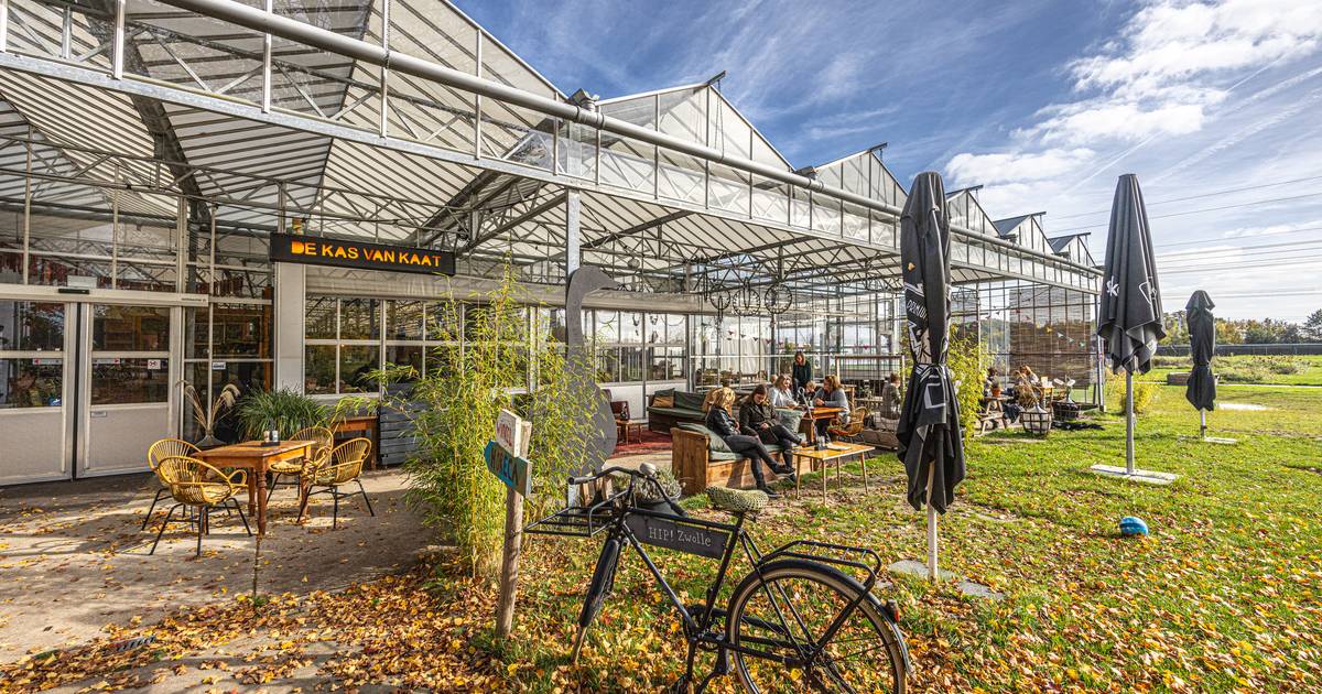 Zwolle wil overtredingen op Buitengoed de Herfte legaliseren ‘Kijk er