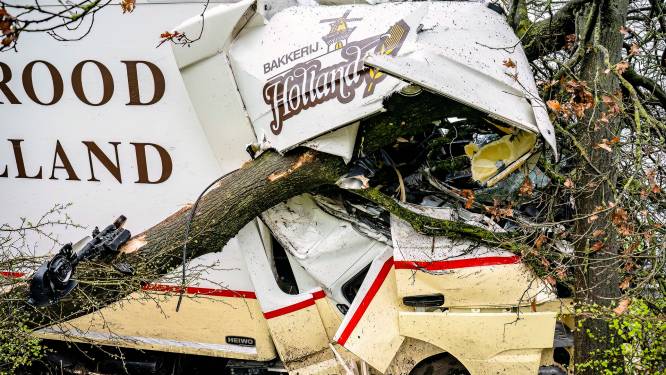 Vrachtwagen in greppel naast A58 bij Oirschot: cabine van chauffeur deukt volledig in door botsing met boom