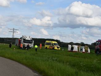 Automobiliste (33) overleden na aanrijding met vrachtwagen op Langeweg in Axel