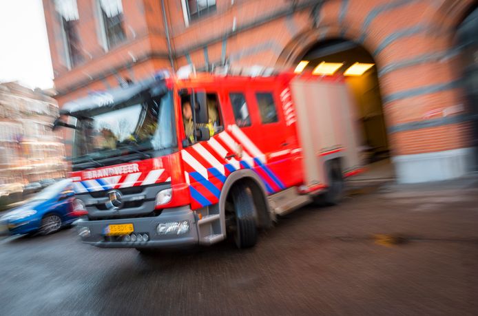 Foto ter illustratie.
