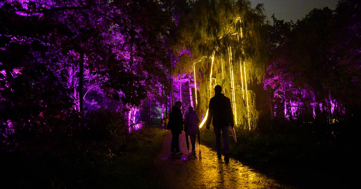 Alle parken in Antwerpen gesloten door storm Ciarán, De Grote Schijn in