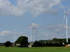 Kalvermesterij in polder leidt tot pijnlijke familiekwestie: ‘Ik moet voor mezelf opkomen’   