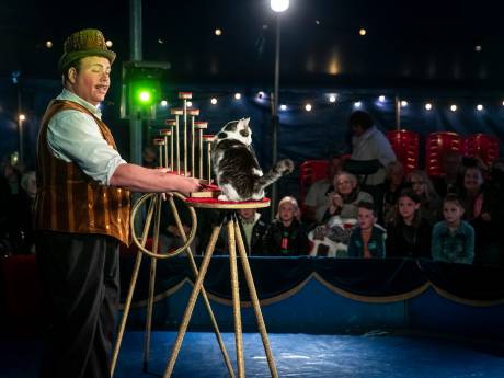 Circus in de Zorg strijkt neer in Odiliapeel: drie keer een show voor jong en oud  