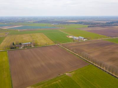 Streep door windmolens in Mariahout, dus Laarbeek moet alternatieve energie vooral uit zonnepanelen 