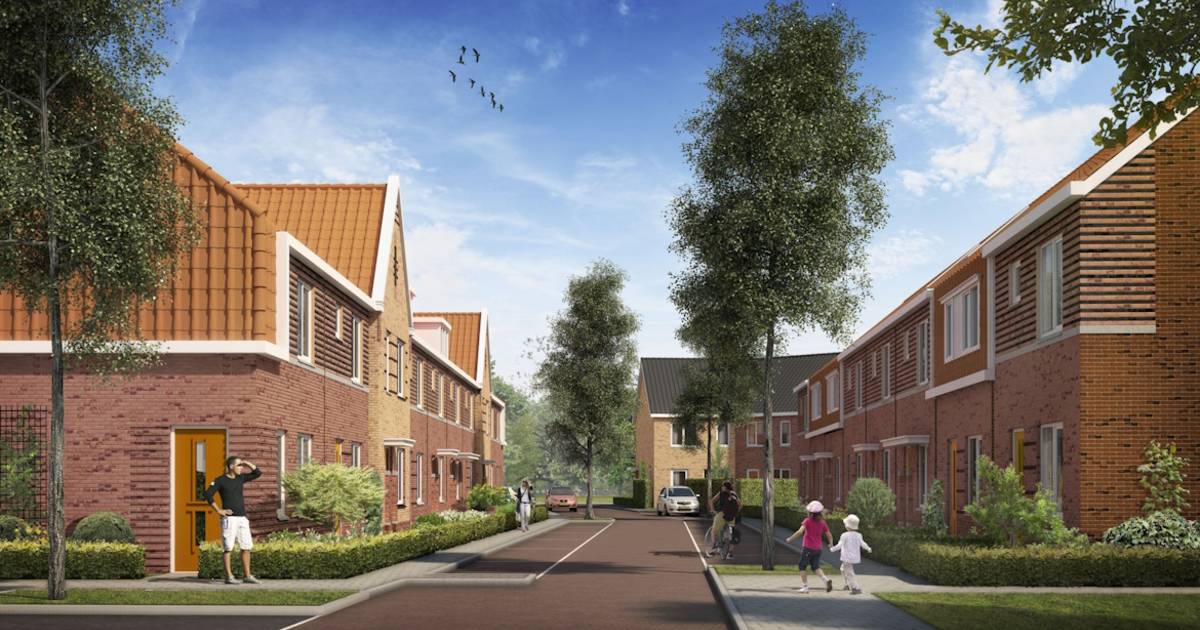 Sloop van Dubbeldams buurtje begint over een jaar: Trivire wil bewoners er graag houden | Dordrecht