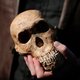 Oermens en Homo Sapiens misschien nog tegelijk actief in Afrika