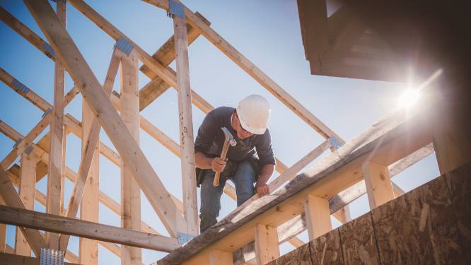 Wonen we straks allemaal in houten huizen? ‘Hout is er genoeg’