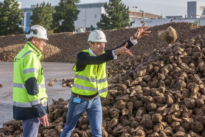 Hans Meeuwis, de nieuwe topman van Cosun begon vorige zomer aan zijn nieuwe klus. In september was hij aanwezig bij de start van de bietencampagne bij de fabriek in Dinteloord.