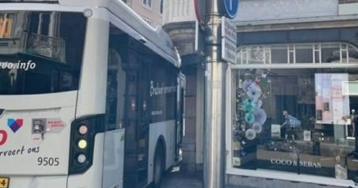 Stadsbus knalt tegen Bossche chocolaterie, tweede ongeluk in korte tijd.