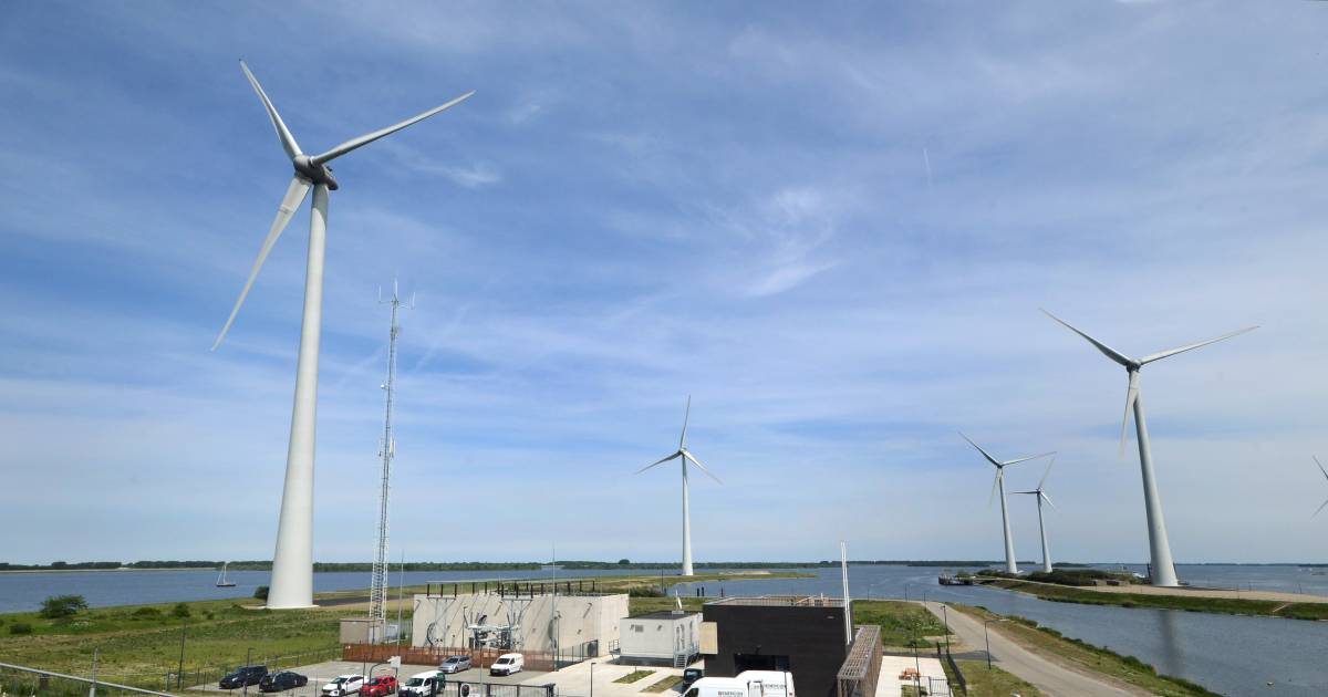 Windmolen op land mept gemiddeld 20 vogels per jaar dood Zeeuws nieuws pzc.nl