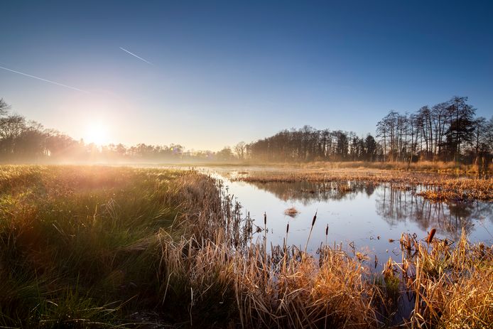 De Dauteweyers in Diepenbeek