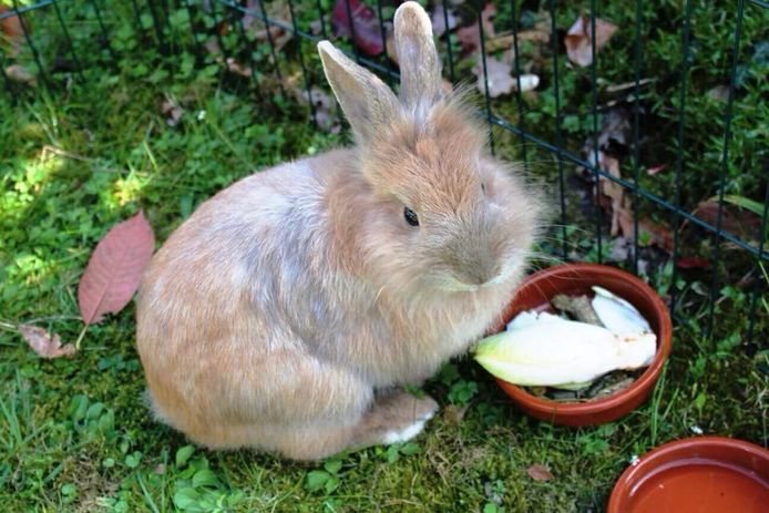 Facebook/Rob M. M. Peeters