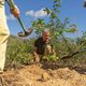 Zo wordt kaal en dor Bonaire weer groen