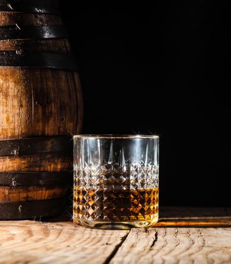 Une ville américaine aux prises avec le “champignon du diable”, la distillerie Jack Daniel’s pointée du doigt