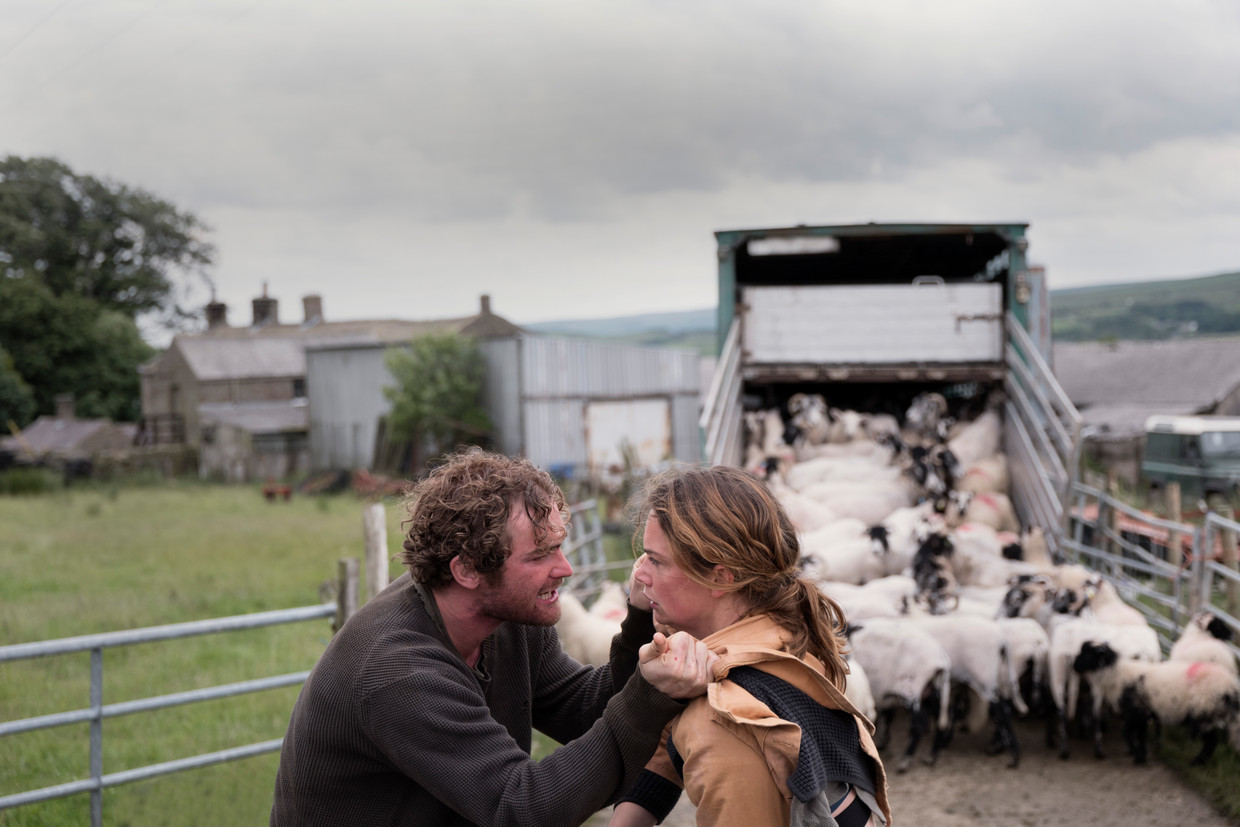 Joe (Mark Stanley) en zijn zus Alice (Ruth Wilson) in Dark River. Het trauma uit hun jeugd belemmert hun communicatie.