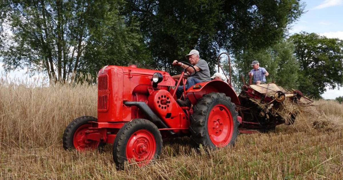 Met traditioneel rogge maaien komt Tilligte voorzichtig in de stemming voor het Twents Oldtimer Fest