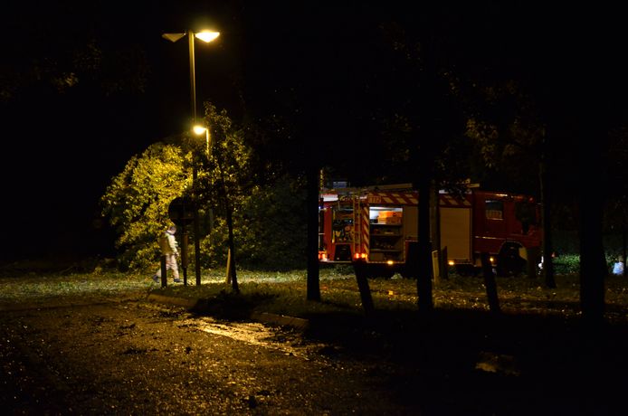 Een boom waait op de elektriciteitsleidingen in de Veurnestraat in De Panne.