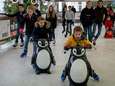 Winter Village Oisterwijk van de baan, carnaval houdt wel hoop