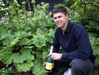 Tim maakt champagne uit eigen tuin: 'Ik maak dit jaar minstens tweeduizend flessen’