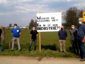 Herentalse boeren protesteren tegen komst van ondergrondse pijpleiding: “Samen met onze gronden neemt men ook onze toekomst hier af!”