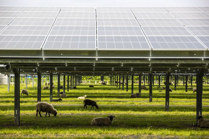 Het Solar Park Biddinghuizen, waar de parkeerterreinen van het festival Lowlands geheel zijn voorzien van zonnepanelen, is met een oppervlakte van 35 hectare de grootste solar carport ter wereld.