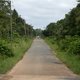 Exploitatie tropisch bos wordt speerpunt Suriname