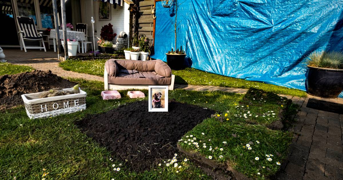 'Hij heeft gewoon ons kind vermoord'.