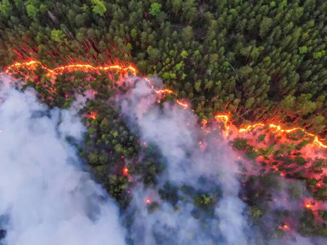 Megabranden in Siberië vernielen gebied zes keer groter dan België: “Russische overheid moet snel in actie komen”