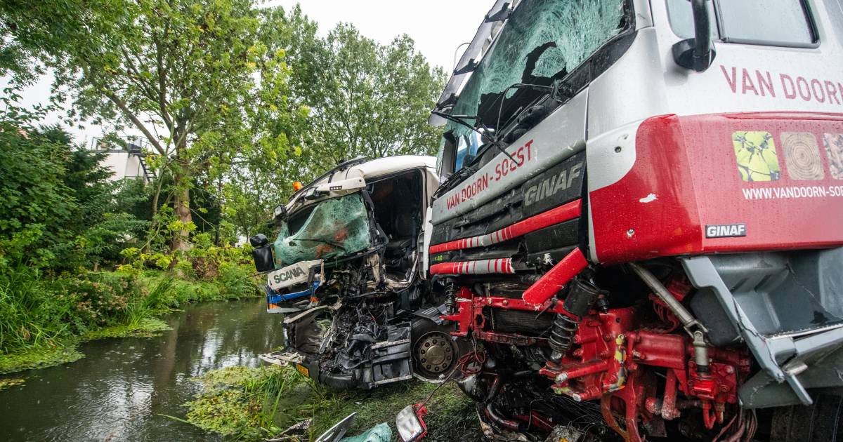 Zwaar ongeval en ravage nadat bestuurder werd afgeleid door nest kittens: werkstraf geëist.