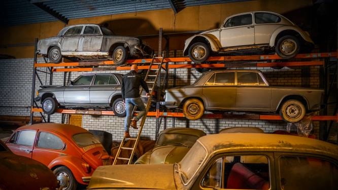 Verloederde loods blijkt schatkamer vol oldtimers: ‘Het is uniek wat daar staat’