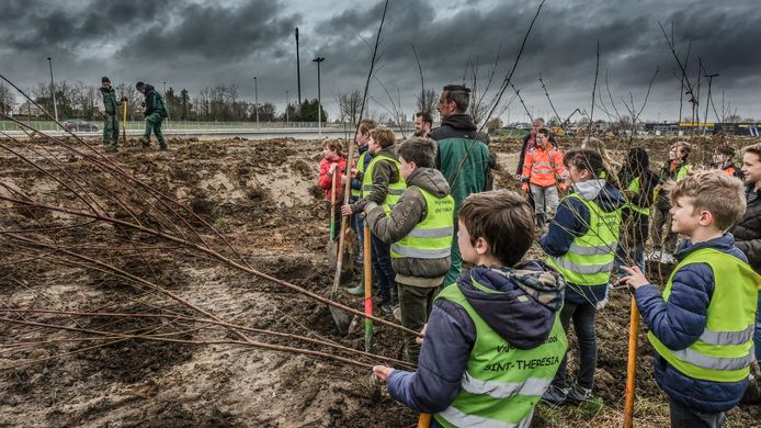 Boomplantactie Marionetten Kortrijk