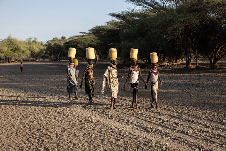 Drie keer per dag halen de vrouwen uit Lokitaung water uit de put.  Beeld Julius Schrank