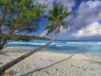 Panama Papers onthullen hoe beroemdheden geld parkeren in belastingparadijzen - Van Overtveldt belooft onderzoek