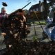 Herfstbladeren weg, maar ook de egeltjes (alleen de kleine)