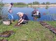 Leden van visvereniging De Oude Waal en medewerkers van Staatsbosbeheer maken nestvlotjes klaar.