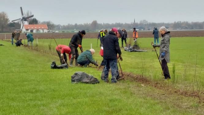 3 kilometer bomen geplant in Millingse weide: begin van tweede voedselbos  