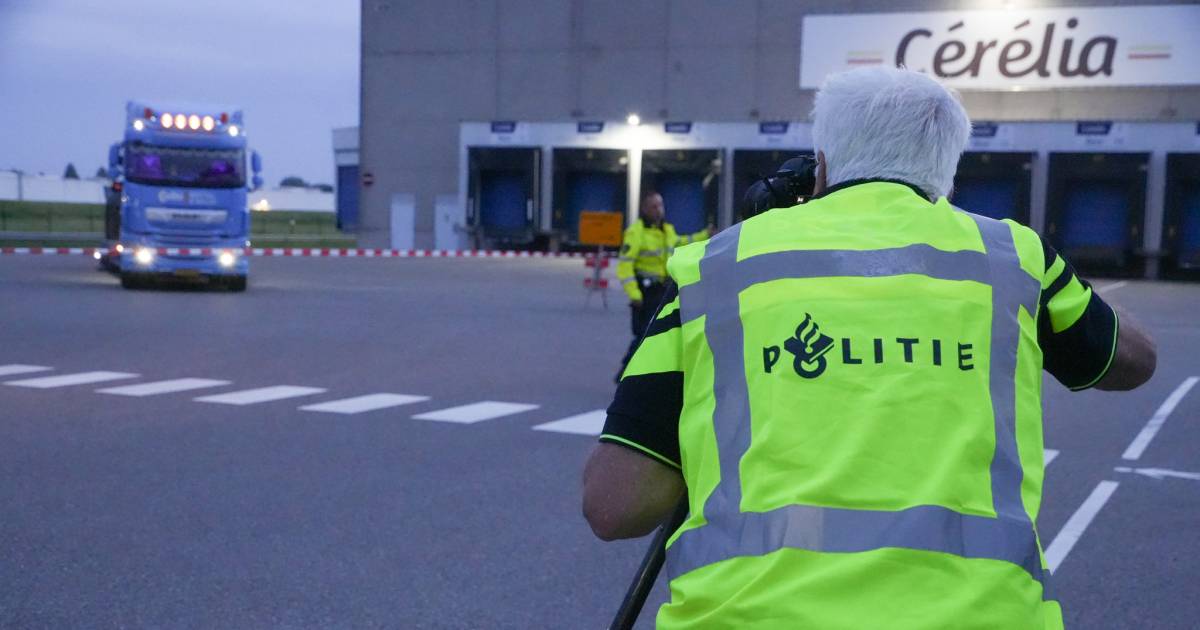 Dode na aanrijding met vrachtwagen in haven, man uit Heeze aangehouden - Eindhovens Dagblad.