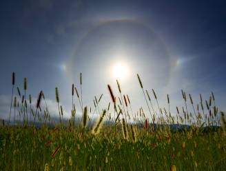 Waarom is er soms een kring om de zon? En voorspelt die echt ‘water in de ton’?