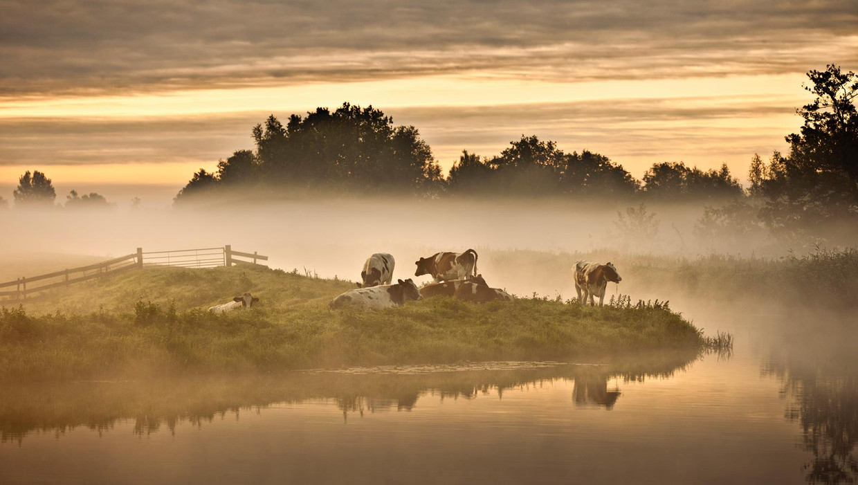 Foto ter illustratie Beeld Frans Lemmens