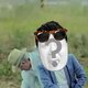 Gangnam jezelf!