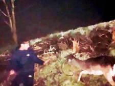 VIDEO | Nachtelijke held: Redmar redt hert dat vastzit in ijskoud water