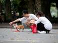 Vietnamees duo opgepakt na vergiftiging 30 honden en katten
