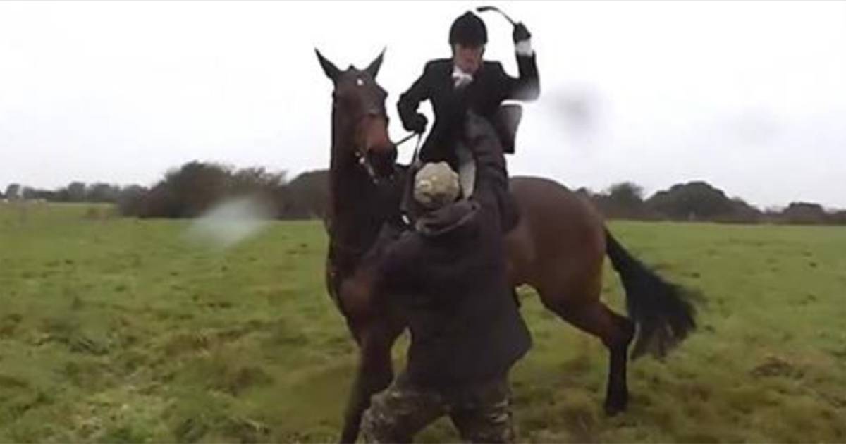 VIDEO: te paard geeft actievoerder de zweep | Buitenland | hln.be